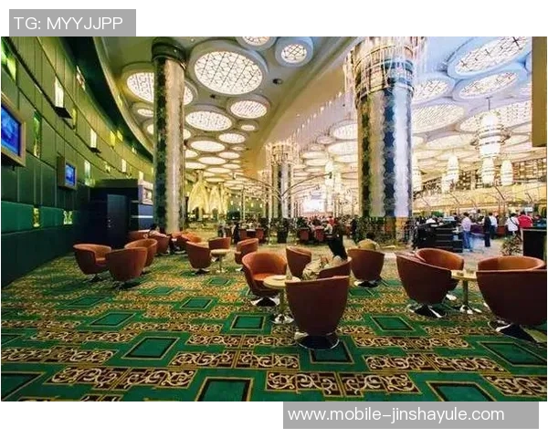 澳门银河金沙娱乐网站-澳门银河金沙娱乐网站，探索现代娱乐的新天地-澳门银河金沙娱乐网站